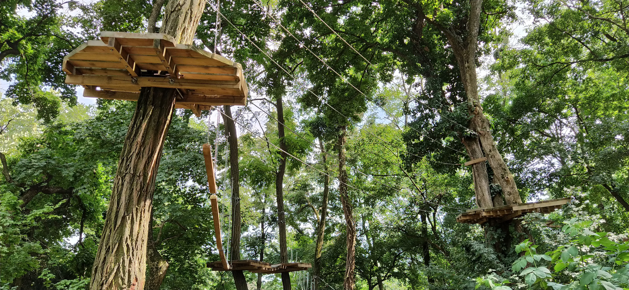 Go Ape Adventure. Located in national parks and local recreational facilities, Go Ape is a challenging obstacle course in the trees. Wooden and rope structures for movement. Sports fun competitions